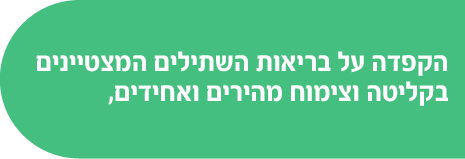 green_slide_heb_2.png