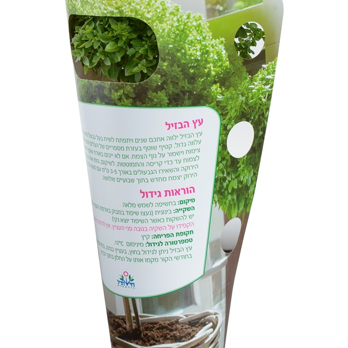 Basil Tree_LOW (1).jpg
