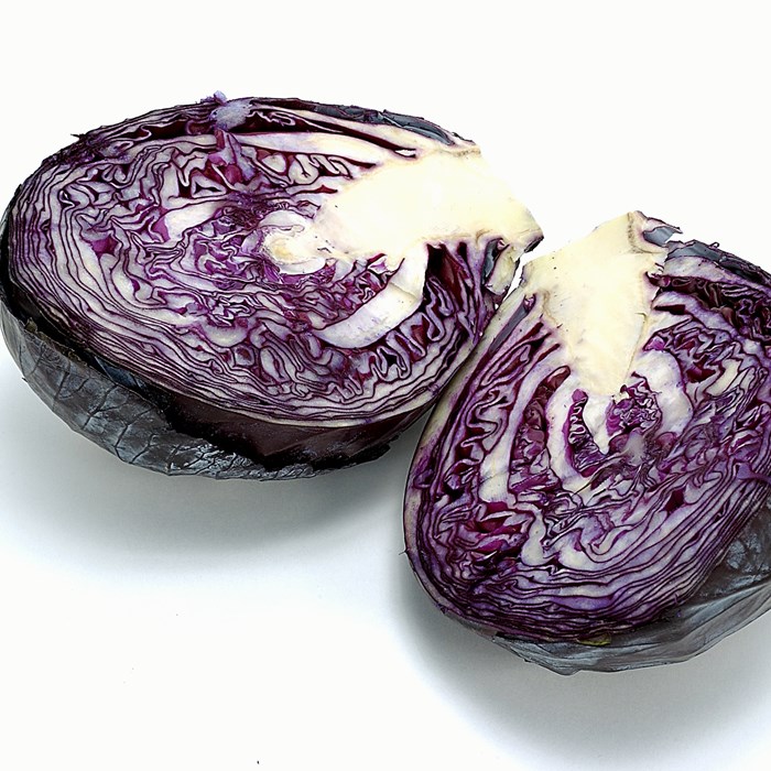 7554570