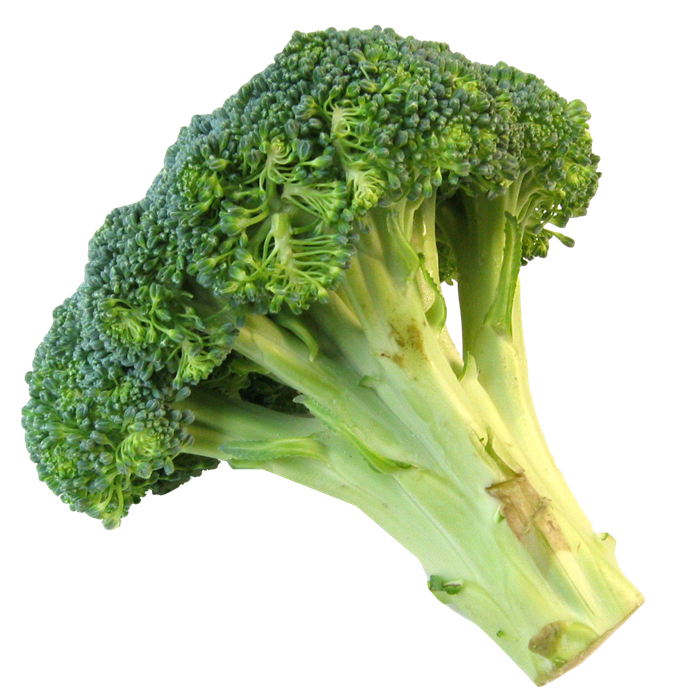 Broccoli PNG72949
