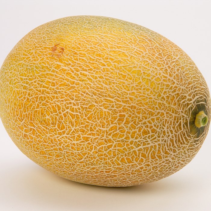 Melon Galia 'Annanas Yaniv'